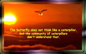 thebutterflydoes