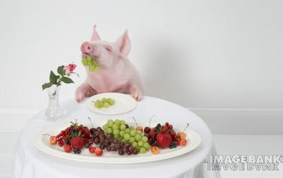 pig and fruit