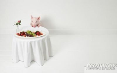 pig and fruit 2
